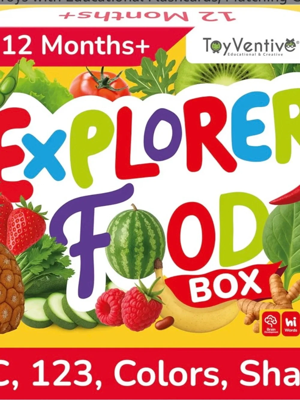 Explorer Food Box - Colorful Learning Toy for Kids